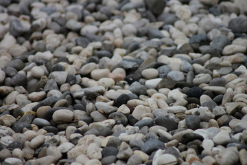 pebbles on the beach