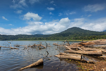 Fototapeta na wymiar tree log on lake tamblingan bedugul blue and cloudy sky