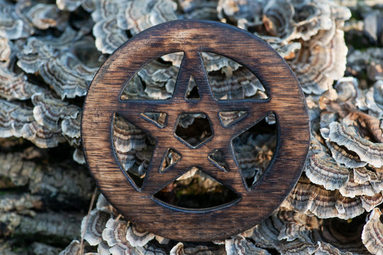 Wooden encircled pentagram symbol on fibrous tree bark in the forest. Five elements: Earth, Water, Air, Fire, Spirit.