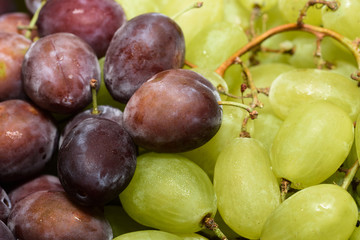Closeup of plums and grapes Nahaufnahme von Pflaumen und Trauben