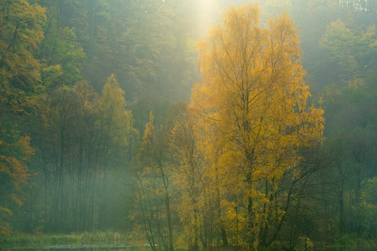 Skaralid is a national park in southern Sweden photographed in the fall when it is very colorful