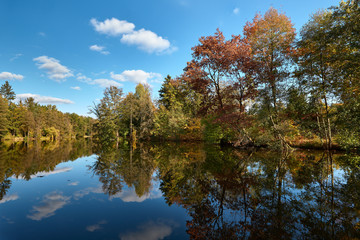 Autumn forest at sea