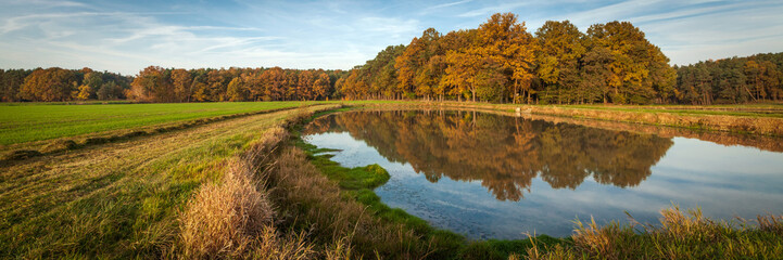 Weiher Herbst Wald Spiegelung Landschaft 