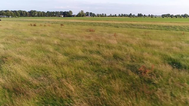 Low altitude aerial footage flying over grassland then later moving past tractor mowing the long fresh grass as dried to hay used as animal fodder in winter time when catlle are inside stables 4k