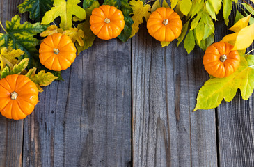 Seasonal display, a decorative border with fall colors for the holiday season.