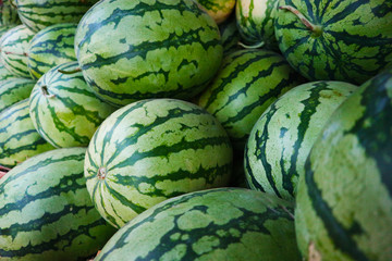 the freshly picked watermelon is still fresh and healthy