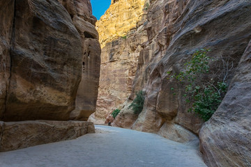 Al Siq Gorge in the Petra Ancient City, Jordan