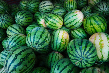 the freshly picked watermelon is still fresh and healthy