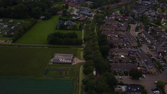Truck parade with lots of trucks and trailers. Many transport companies participate in this parade.