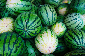 Fototapeta na wymiar the freshly picked watermelon is still fresh and healthy