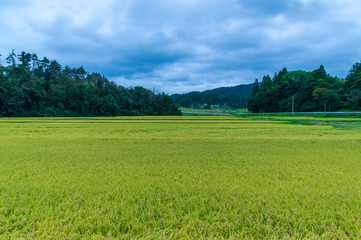 岩手県花巻市の町並み
