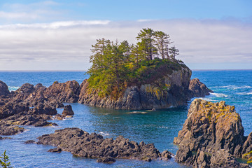 Rugged shoreline of wild pacific trail in Ucluelet, Vancouver Island, BC