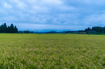 Obraz premium 岩手県花巻市の町並み