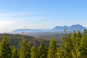 Zelfklevend Fotobehang Tofino lush foliage and Meares Island hill tops in the horizon, Vancouver Island, Canada © roxxyphotos