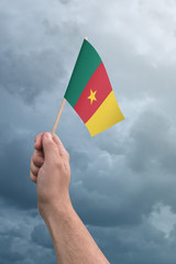 Hand holding Cameroon flag high in the air, with a stormy, cloudy sky