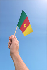 Hand holding Cameroon flag high in the air, with a clear blue sky