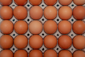 close up on brown eggs in egg box