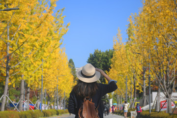 Traveling at Yonsei University during autumn in Seoul, South Korea.