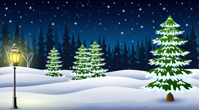 Cartoon of winter night background with pine trees and street lamp at night