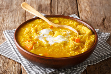 Delicious Tamil Mulligatawny soup with lentils, rice, chicken, vegetables and apple closeup in a bowl. horizontal