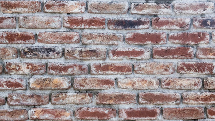 Brick wall texture