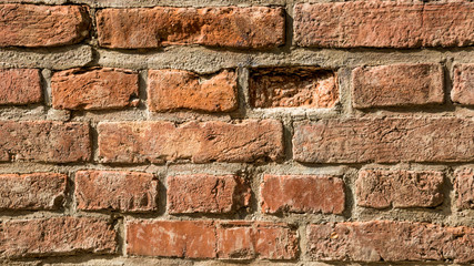 Fototapeta premium Brick wall texture