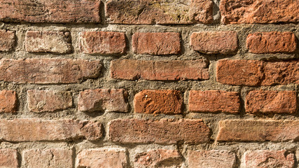 Brick wall texture