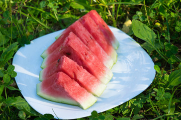 Cut watermelon on the grass