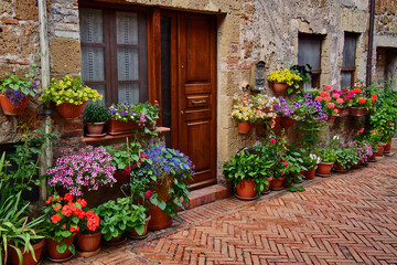 Fototapeta na wymiar House with flowers in Tuscany