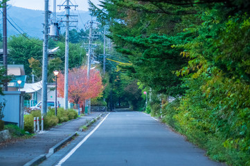 散歩道　秋