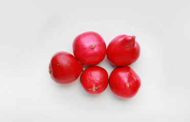 Bunch of radish on white background.