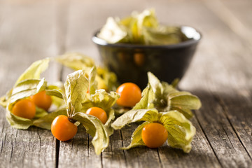 Physalis peruviana fruit.