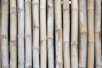 Vertical bamboo fence background.