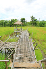 Fototapeta na wymiar Wooden bamboo walkway bridge crossing paddy field to hut with cloud sky and mountain background.