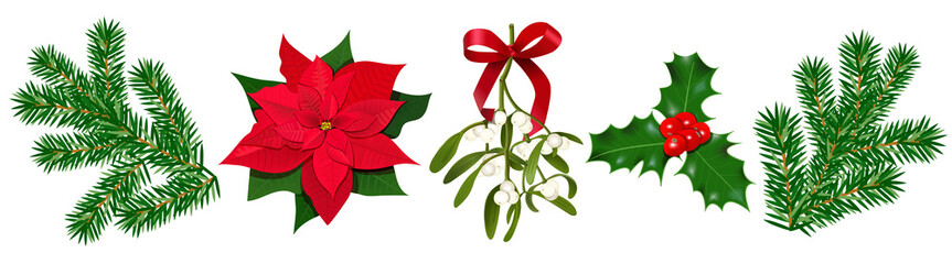 Set with Poinsettia, Holly berry, Mistletoe with berries and red bow, fir branches - 230749379