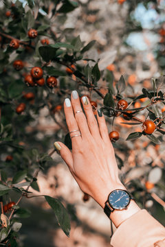 Woman Hand With Beautiful Minimalistic Manicure With Geometry Design, Rings And Black Watches On The Fall Red Malus Apples Tree Background.