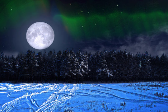 Northern Lights and full moon over the Pine Forest