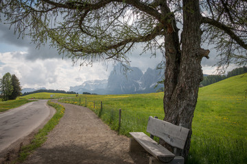  Alpe di Siusi