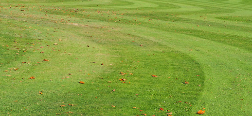 Scenic view of lawn in public park with wavy lines just cut grass