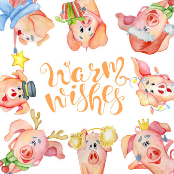 Merry Christmas watercolor card with cute funny pigs and hand drawn  lettering quote Warm wishes