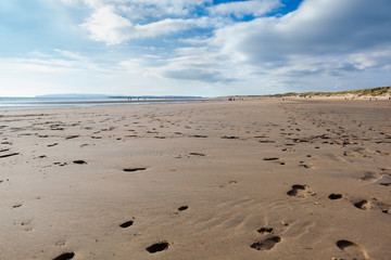 Camber Sands, sandy beach at the village of Camber, East Sussex near Rye, England. Coastline in a low tide, selective focus