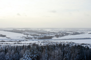 beautiful winter in the forest