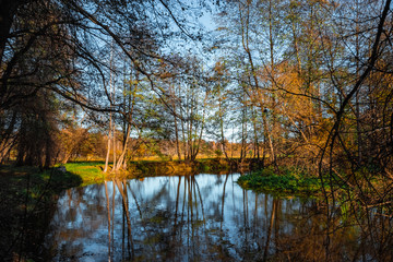 Creative background, nature, Autumn river forest. Golden autumn.