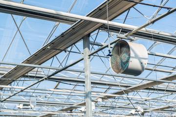 glass roof with fan in modern greenhouse