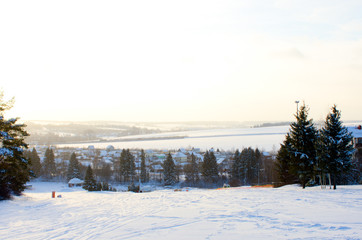 beautiful winter in the forest