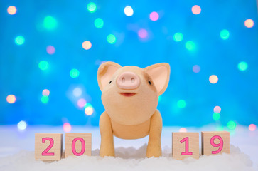 Cute pig and number 2019 on a magical background