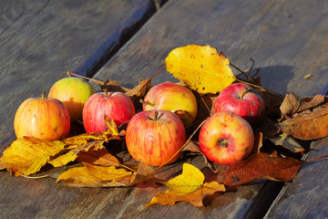 wild apples, autumn, red