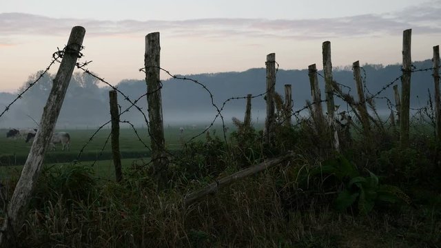 World War One trench reconstructed misty sunrise behind barbed wire 