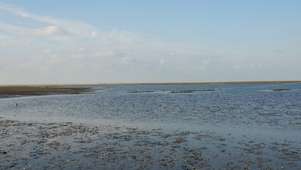 Sandbank in der Nordsee bei Ebbe, Zeeland in den Niederlanden