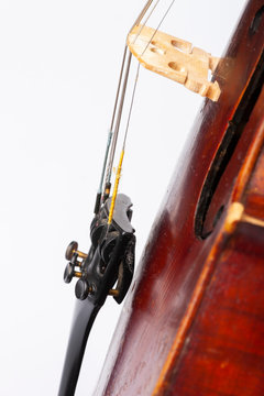 Violin close up isolated on white background